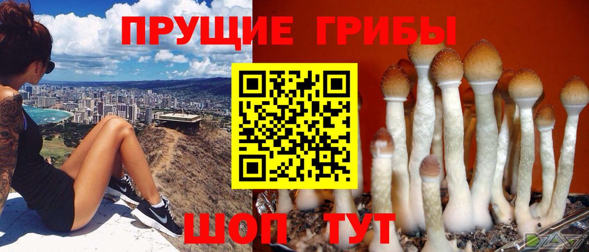 Галлюциногенные грибы MAGIC MUSHROOMS Альметьевск